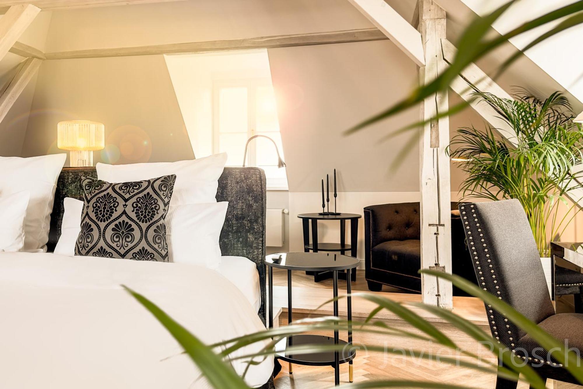 Suite Monolocale